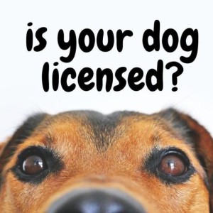2026 Dog License Reminder